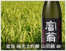 �x�� ���đ��� �R�c��49 �i�ЂƂ΁j