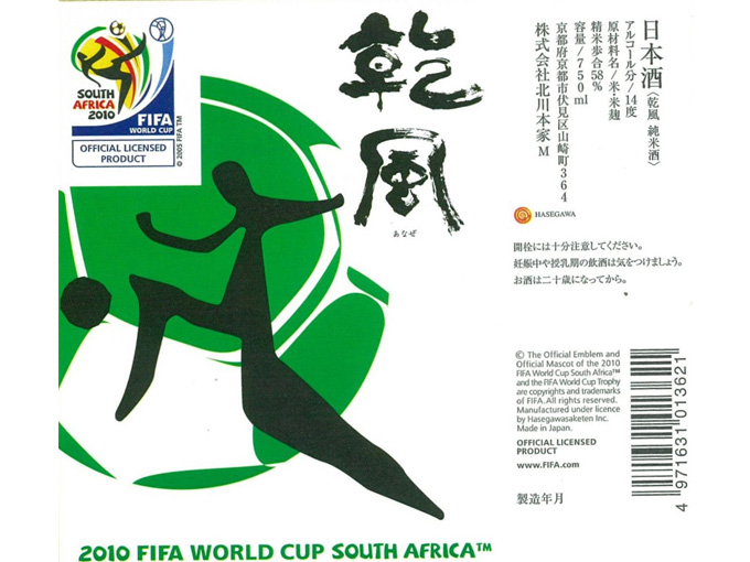 FIFA2010