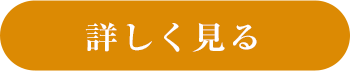 詳しく見る